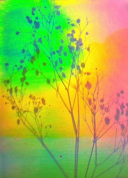 Imagination in space: Nature and Spectral Colors - a Photographic Art Artowrk by Juergen Eichler